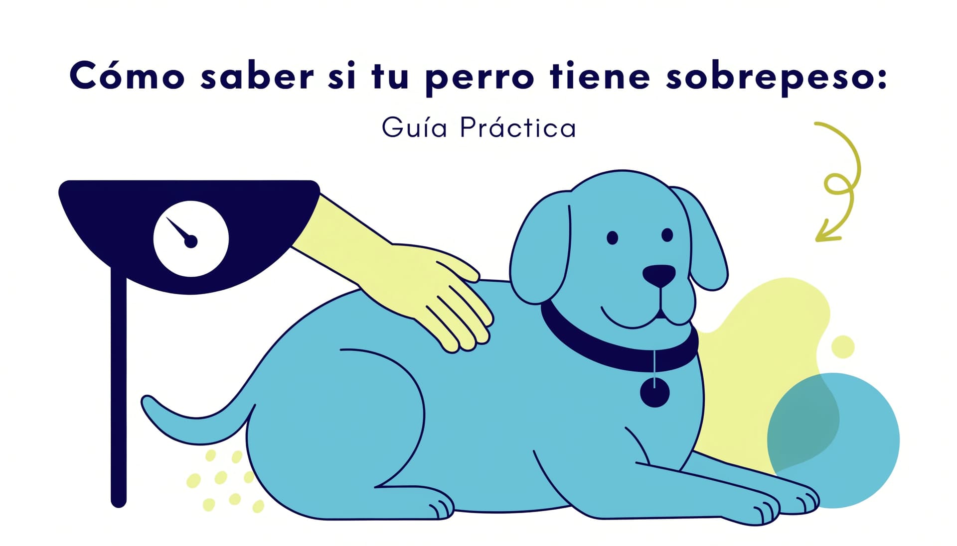 Cómo saber si tu perro tiene sobrepeso: Guía Práctica