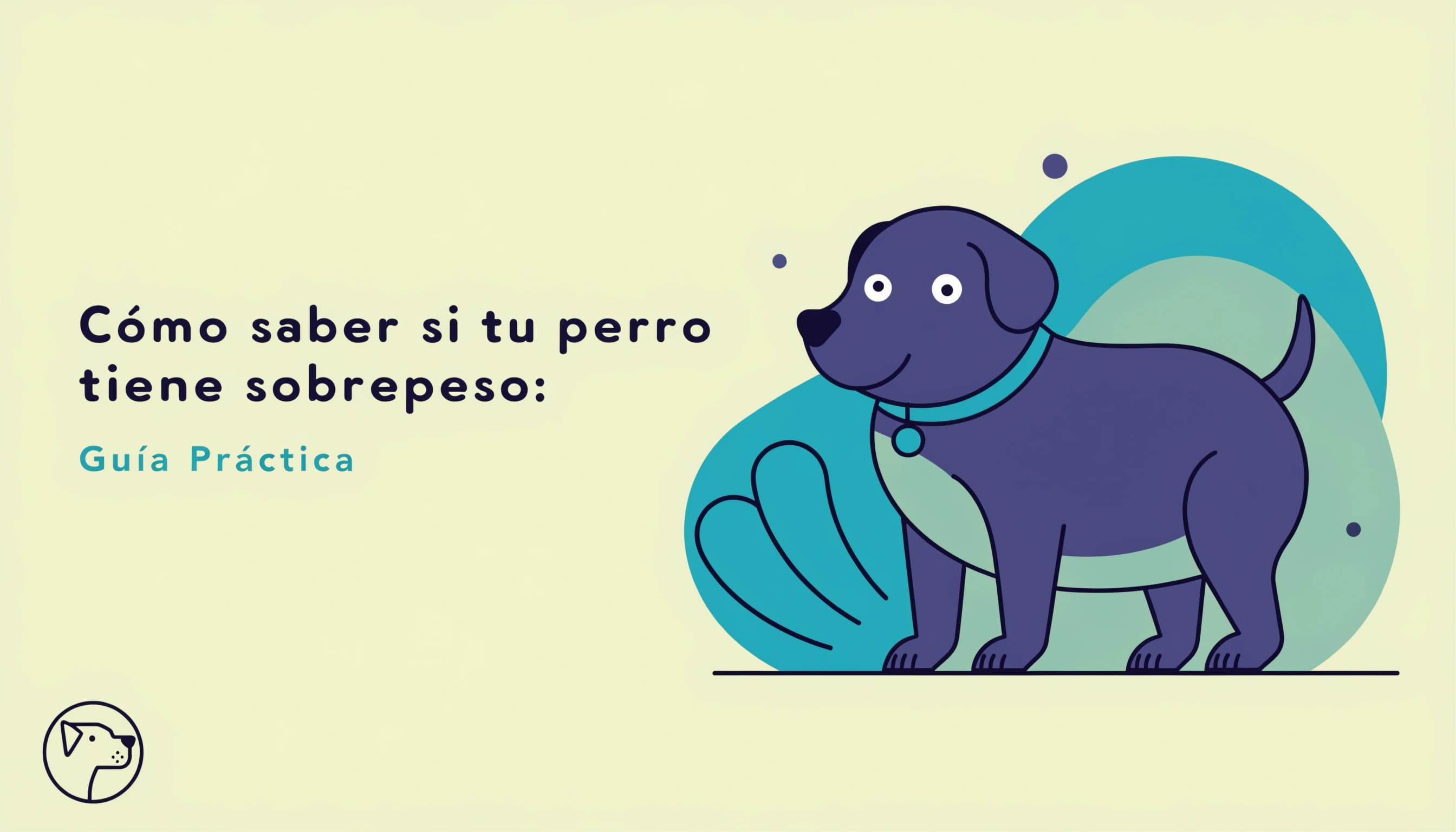 How to Know if Your Dog is Overweight: Practical Guide