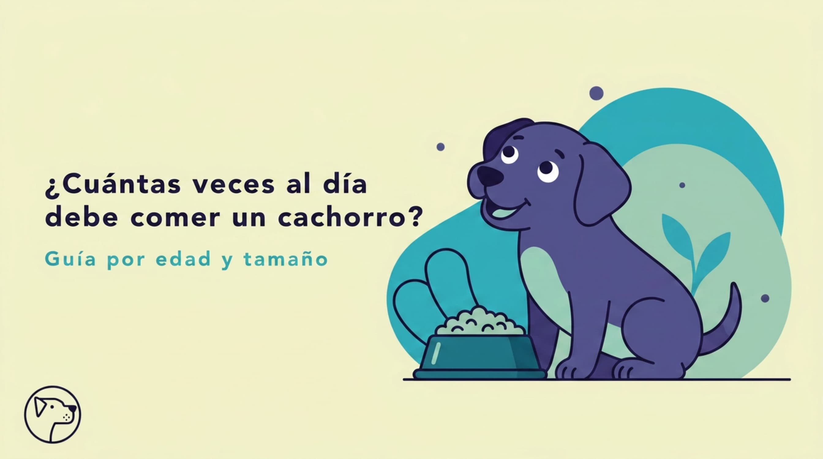 How Many Times a Day Should a Puppy Eat? A Guide by Age